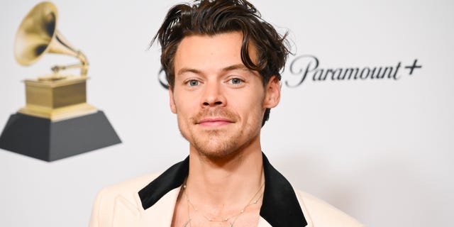 Harry Louis Biography: Girlfriend, Age, Net Worth, Siblings, Parents, Height, Movies
