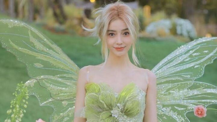 Angelababy Biography: Net Worth, Siblings, Parents, Height, Children, Age, Movies, Awards, Albums