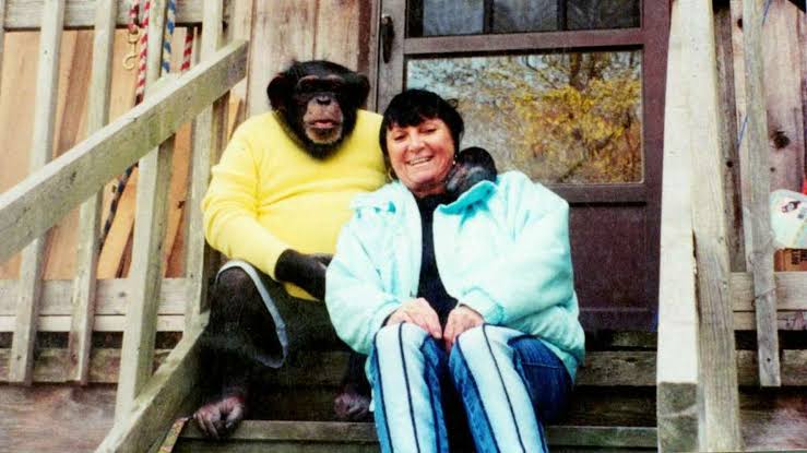 Sandra Herold Biography: Cause of Death, Daughter, Attack, Age, Net Worth, Height, Husband, Children, House, Ethnicity