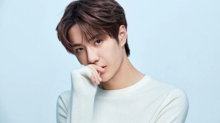 Wang Yibo Biography: Awards, Age, Net Worth, Siblings, Parents, Height, Songs, Movies, Girlfriend