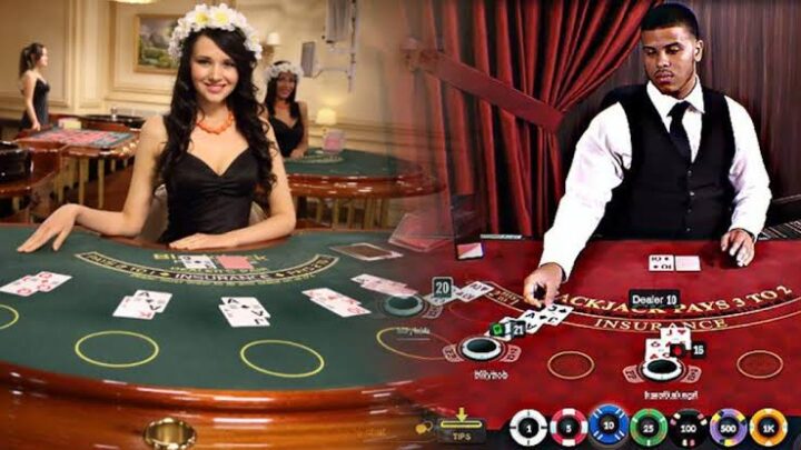 What to Expect from a Live Dealer Card Game