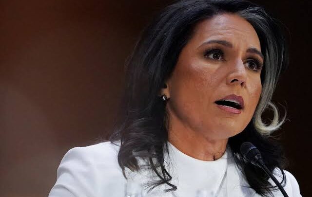 Tulsi Gabbard Confirmed as Director of National Intelligence in Tight Senate Vote