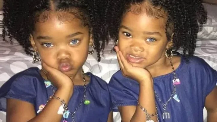 Megan TrueBlue Biography: Instagram, YouTube, Siblings, Parents, Net Worth, Age, Height