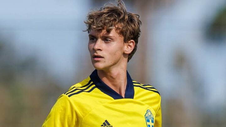 Zlatan Ibrahimović's Son, Maximilian Ibrahimović Bio Mother, Siblings