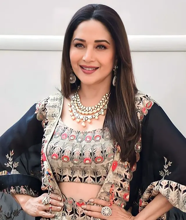 Madhuri Dixit Biography: Husband, Age, Net Worth, Siblings, Parents, Children, Awards, Movies, Height