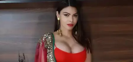 Sherlyn Chopra Biography: Age, Husband, Net Worth, Family, Instagram, Wikipedia, Movies