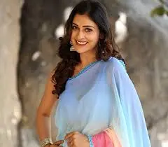 Payal Rajput Biography: Age, Net Worth, Siblings, Parents, Husband, Awards, Movies, Height, Children, Instagram