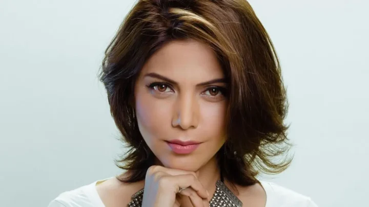 Hadiqa Kiani Biography: Husband, Net Worth, Age, Songs, Parents, Children, Height