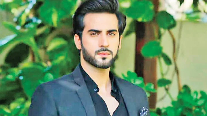 Agha Talal Biography: Movies, Spouse, Age, Parents, Siblings, Net Worth, Wikipedia