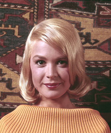 Sandra Dee Biography: Parents, Siblings, Age, Net Worth, Height, Ethnicity, Children, Husband, Obituary, Films Sandra Dee Biography: Parents, Siblings, Age, Net Worth, Height, Ethnicity, Children, Husband, Obituary, Films