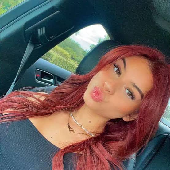 Andie Elle Biography: Instagram, Career, Net Worth, Age, YouTube, Parents, Height Andie Elle Biography: Instagram, Career, Net Worth, Age, YouTube, Parents, Height
