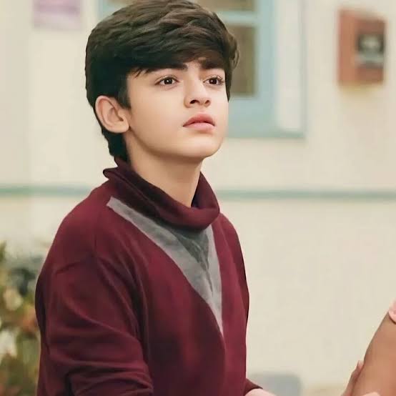 Vansh Sayani Biography: Age, Parents, Movies & TV Shows, Height, Net Worth, Education Vansh Sayani Biography: Age, Parents, Movies & TV Shows, Height, Net Worth, Education