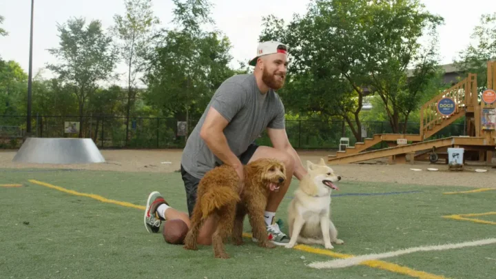 Travis Kelce’s Dogs, Meet Chauncey and Rambo: Owner, Age, Breed, Adoption Story