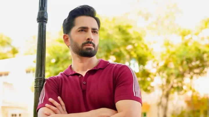 Danish Taimoor Biography: Movies, TV Dramas, Age, Net Worth, Career, Wife, Children, Family
