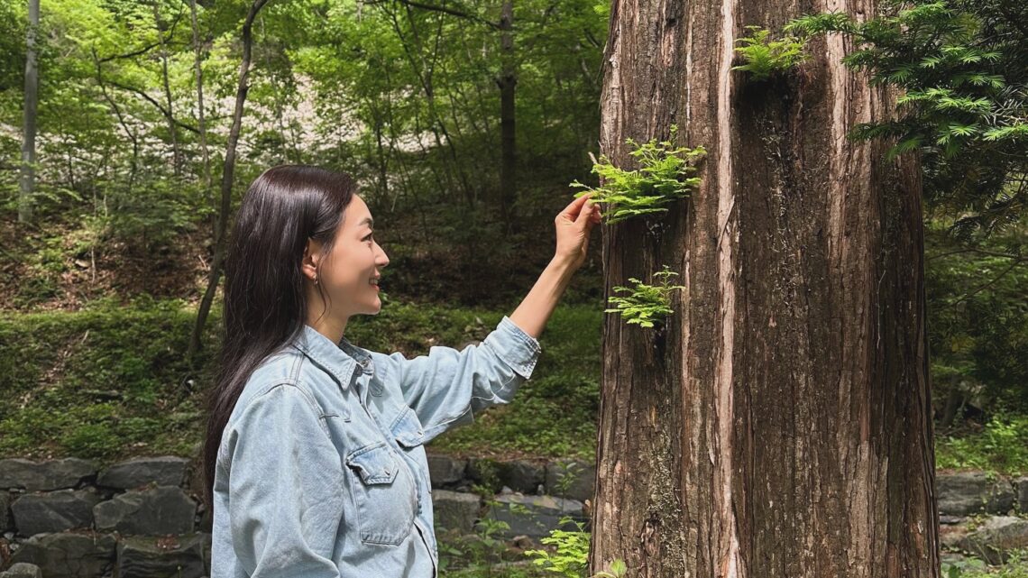 Jin-hie Park Biography: Net Worth, Siblings, Age, Parents, Height, Ethnicity, Husband, Films, TV Series Jin-hie Park Biography: Net Worth, Siblings, Age, Parents, Height, Ethnicity, Husband, Films, TV Series