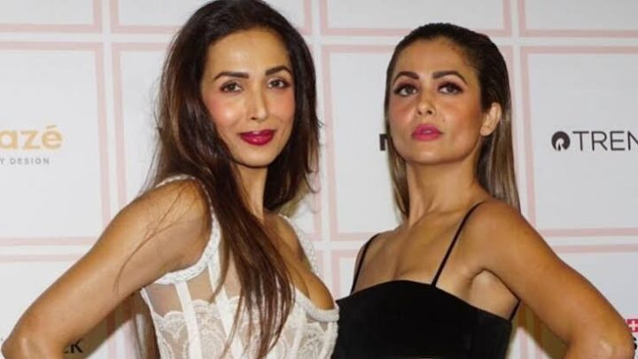 Amrita Arora Biography: Career, Age, Net Worth, Movies, Husband, Children, Sister, Height, Parents