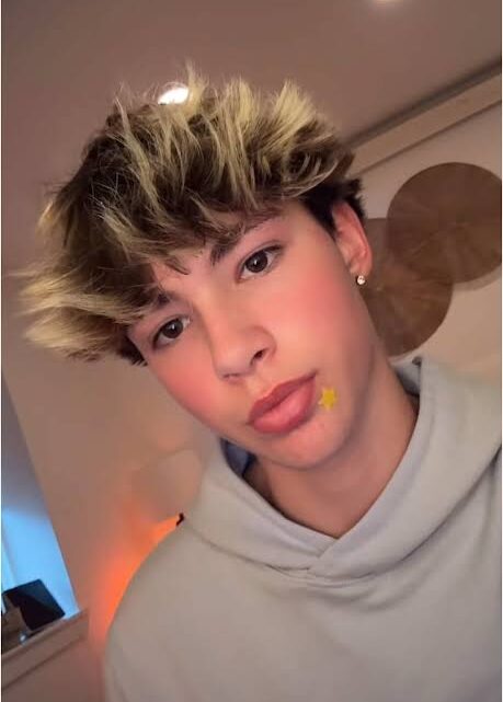 Brooks Harvey Biography: Age, Twin Brother, Net Worth, Parents, TikTok, Height, Family Brooks Harvey Biography: Age, Twin Brother, Net Worth, Parents, TikTok, Height, Family