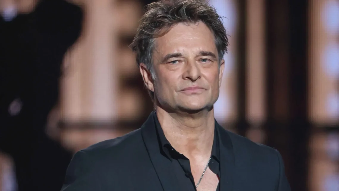 David Hallyday Biography: Wife, Children, Age, Songs, Net Worth, Height, Awards, Books, Films, Father