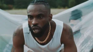 Brawks