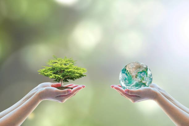 The Night I Chose Sustainability Over Convenience – A Green Living Story You Won’t Forget