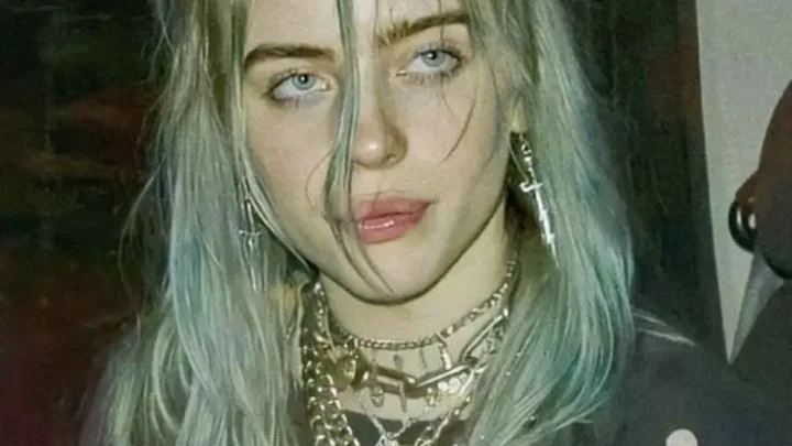Billie Eilish i shoud've known