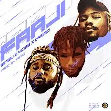 Dremo “Faaji” Lyrics (feat. Ycee & Sinzu)