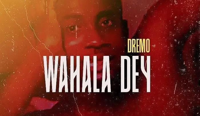 Dremo "Wahala Dey" Lyrics