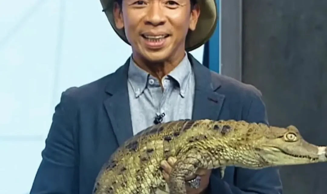 Kim Atienza Biography: Age, Wife, Children, Net Worth, Daughter, Parents, Height, Nationality, Movies Kim Atienza Biography: Age, Wife, Children, Net Worth, Daughter, Parents, Height, Nationality, Movies