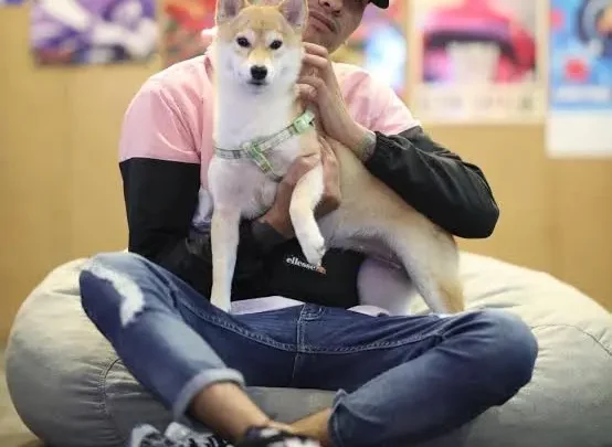 Akosi Dogie Biography: Awards, Videos, Religion, Siblings, Girlfriend, Height, Net Worth, Kids, Songs