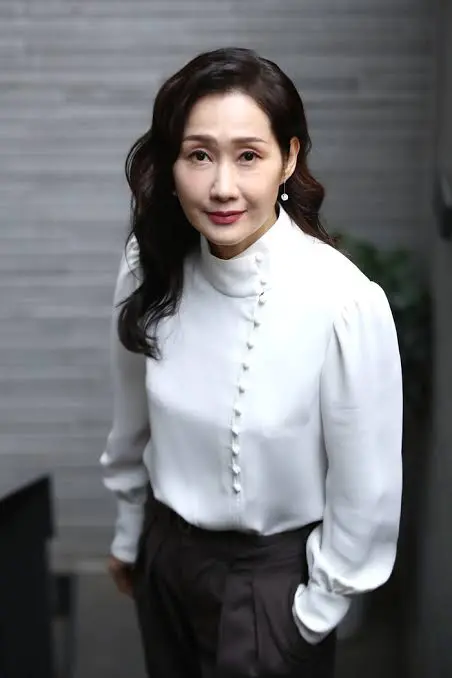 Bae Hae-sun Photo