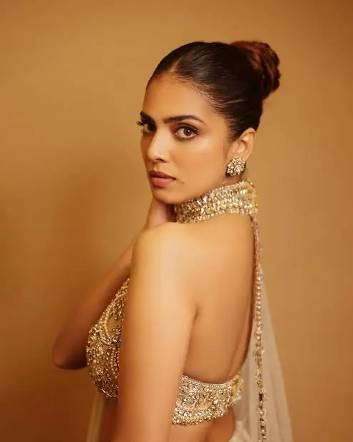 Malavika Mohanan Biography: Age, Net Worth, Movies, Career, Husband, Father, Instagram