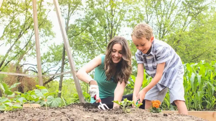 Beginner’s Guide to Gardening: Tips for Growing Your Own Vegetables