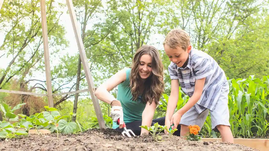 Beginner’s Guide to Gardening: Tips for Growing Your Own Vegetables