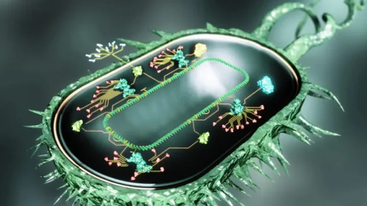 The Next Trillion-Dollar Industry After AI: Explore Synthetic Biology