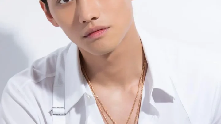 Fandy Fan Biography: Girlfriend, Age, Children, Net Worth, Height, Career, Movies & TV Shows