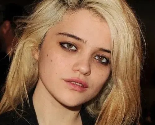 Sky Ferreira Biography: Age, Net Worth, Songs, Albums, Movies, Height, Career, Husband