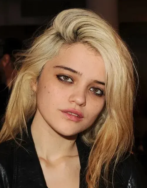 Sky Ferreira Biography: Age, Net Worth, Songs, Albums, Movies, Height, Career, Husband