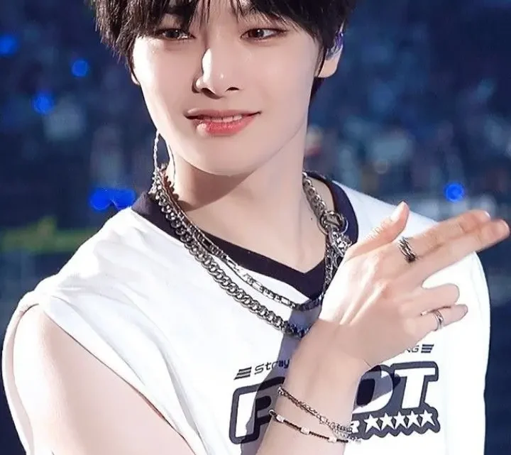 I.N (singer) Biography: Age, Real Name, Height, Net Worth, Parents, Stray Kids, Career, Songs