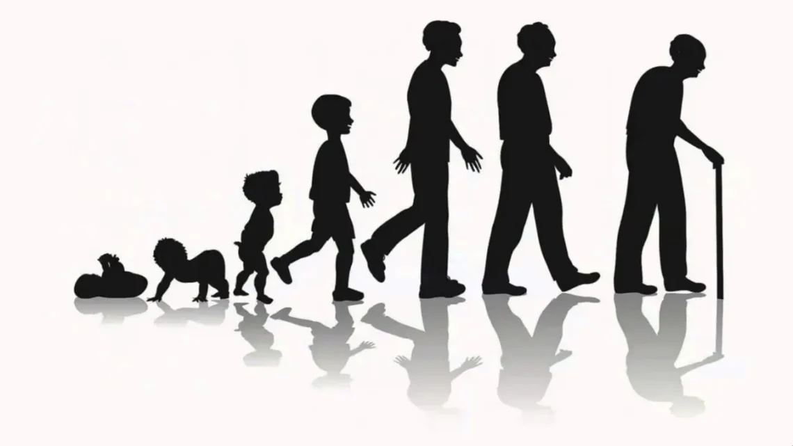 7 Daily Habits That Extend Your Lifespan Backed by Science