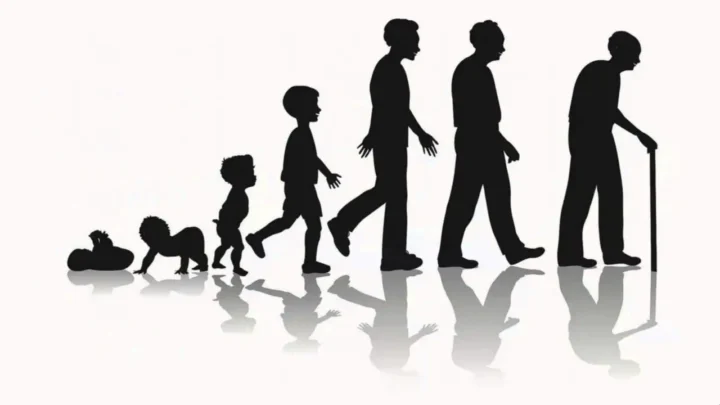 7 Daily Habits That Extend Your Lifespan Backed by Science