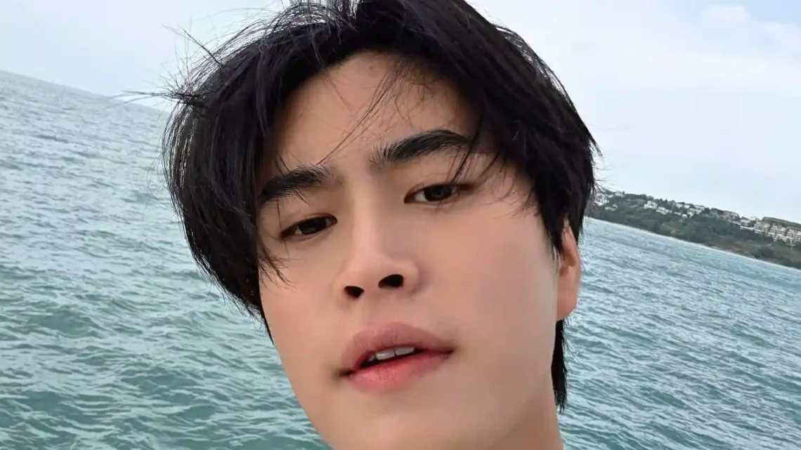 Norawit Titicharoenrak Biography: Net Worth, Siblings, Height, Parents, Age, Girlfriend, TV Series, Movies, Songs