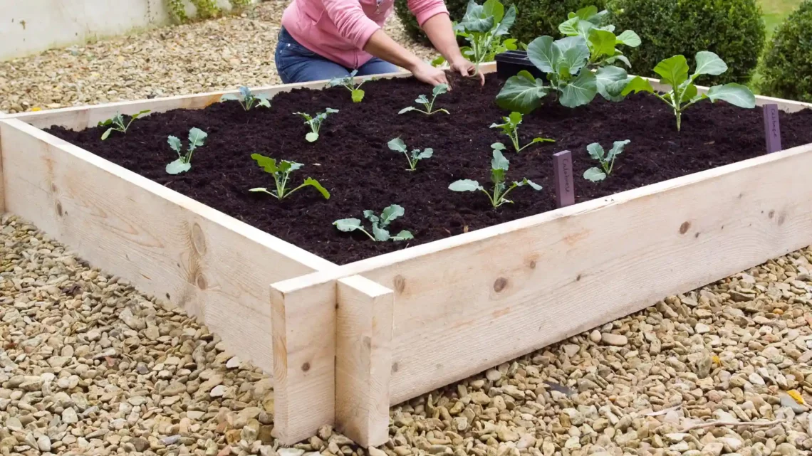 How to Build a Raised Garden Bed (From Plans to Planting)