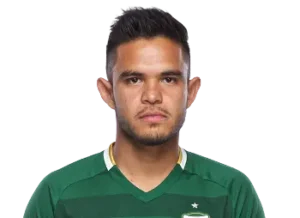 Andrés Flores
