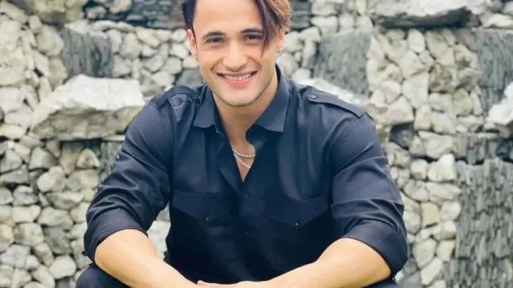 Asim Riaz Biography: Height, Net Worth, Age, Parents, Girlfriend, Religion, Movies