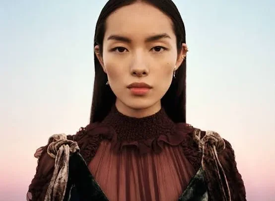 Fei Fei Sun Biography: Age, Husband, Height, Net Worth, Parents, Movies, Career, Instagram