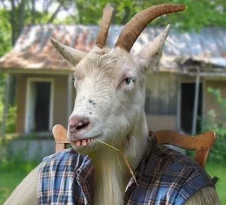 Billy The Goat Biography: Net Worth, Age, Height, Parents, Career, Relationship