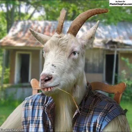 Billy The Goat Biography: Net Worth, Age, Height, Parents, Career, Relationship