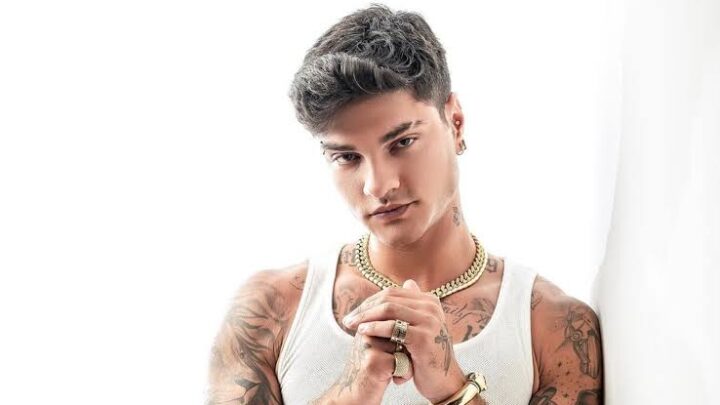 Davi Kneip Biography: Singles, Age, Height, Brother, Net Worth, Girlfriend, Songs, Ethnicity