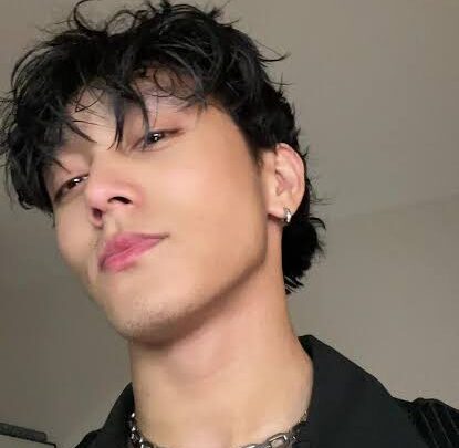 Brian Nguyen Biography: Parents, Net Worth, Age, Height, TikTok, Ethnicity, Girlfriend