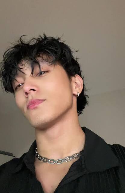 Brian Nguyen Biography: Parents, Net Worth, Age, Height, TikTok, Ethnicity, Girlfriend
